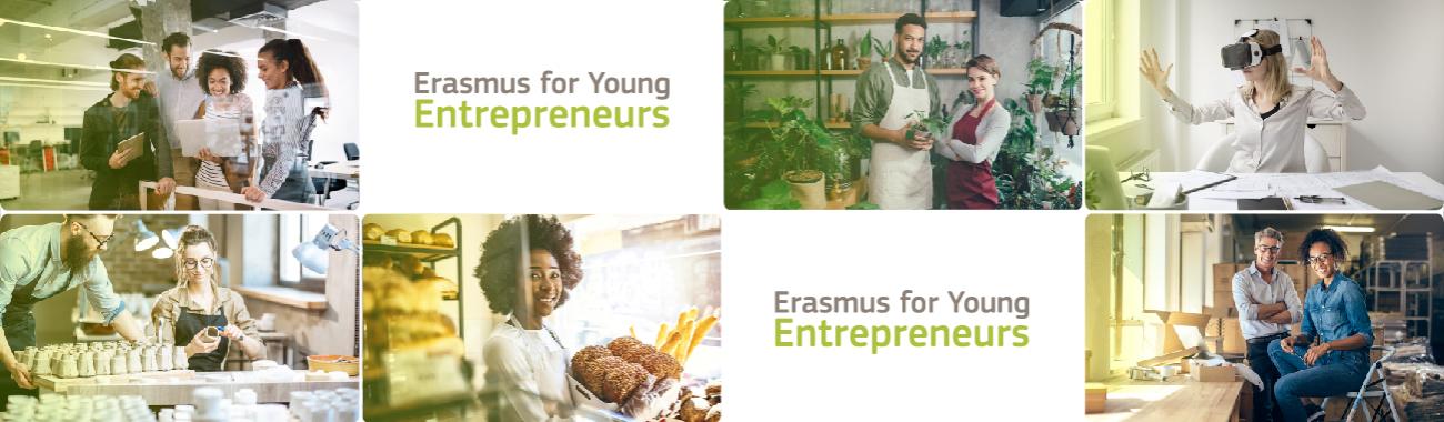 ERASMUS_web_banner-